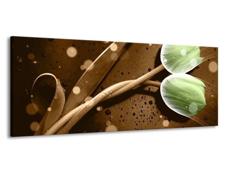 Canvas schilderij Tulp | Groen, Bruin | 145x58cm 1Luik