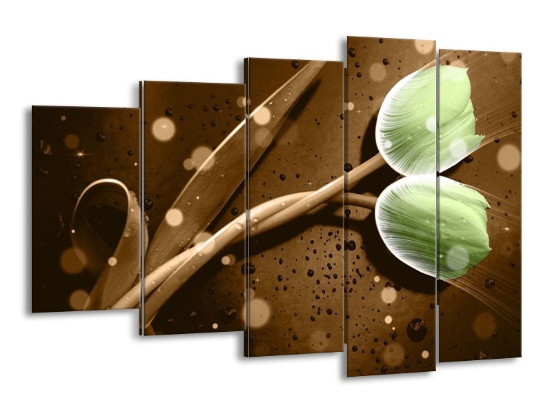 Canvas schilderij Tulp | Groen, Bruin | 150x100cm 5Luik
