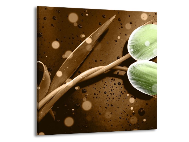Canvas schilderij Tulp | Groen, Bruin | 50x50cm 1Luik