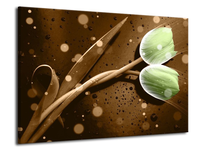 Canvas schilderij Tulp | Groen, Bruin | 70x50cm 1Luik