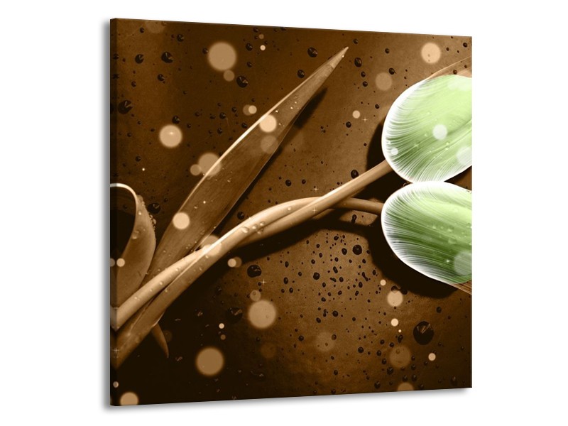 Canvas schilderij Tulp | Groen, Bruin | 70x70cm 1Luik
