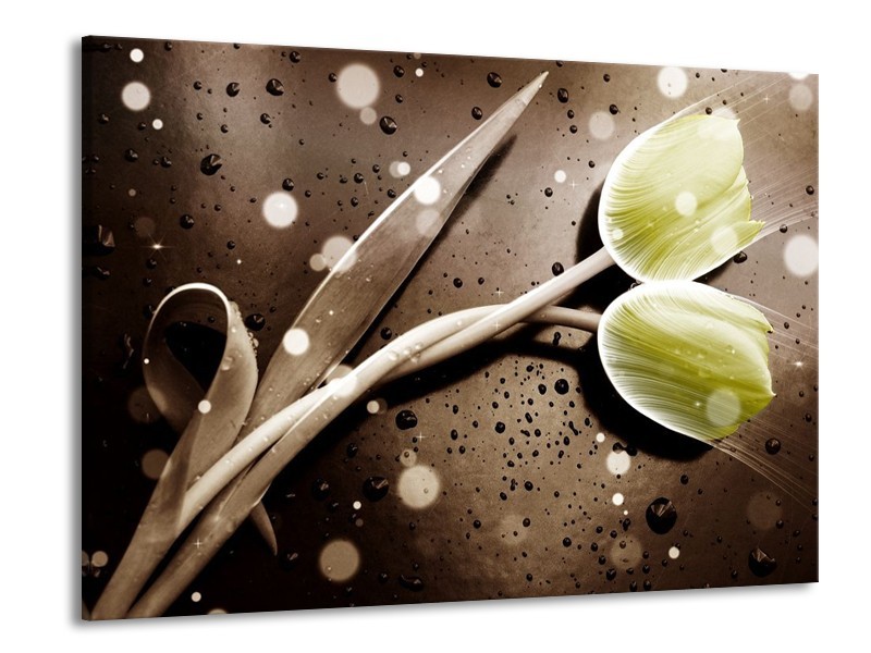 Canvas schilderij Tulp | Geel, Grijs | 100x70cm 1Luik