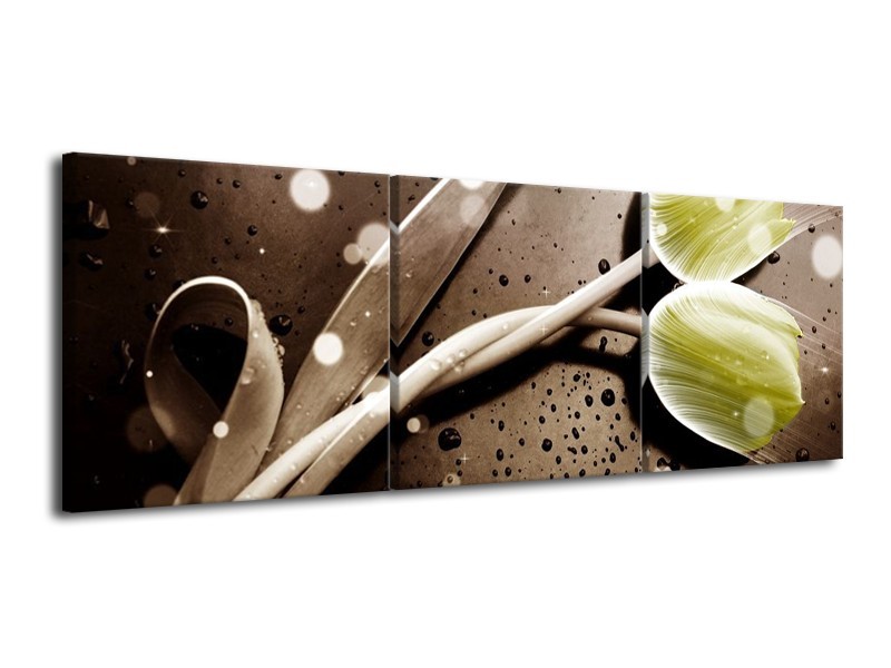 Canvas schilderij Tulp | Geel, Grijs | 120x40cm 3Luik