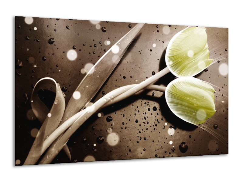 Canvas schilderij Tulp | Geel, Grijs | 120x70cm 1Luik