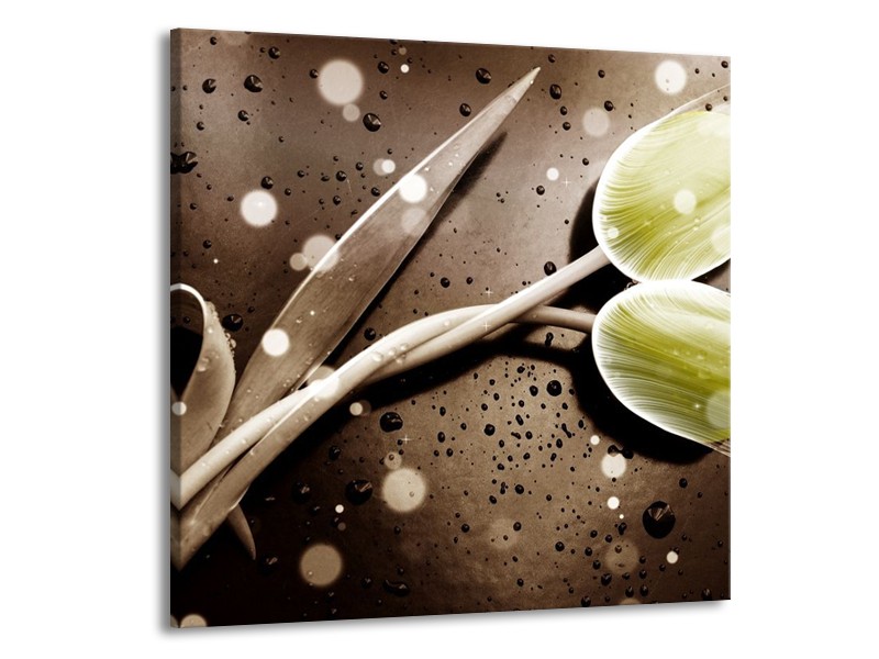 Canvas schilderij Tulp | Geel, Grijs | 50x50cm 1Luik