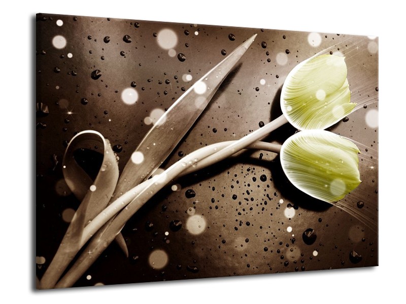 Canvas schilderij Tulp | Geel, Grijs | 70x50cm 1Luik