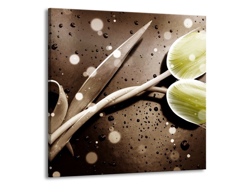 Canvas schilderij Tulp | Geel, Grijs | 70x70cm 1Luik