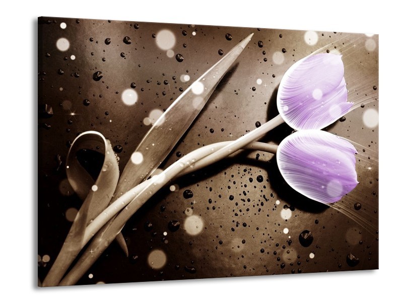 Canvas schilderij Tulp | Paars, Grijs | 100x70cm 1Luik