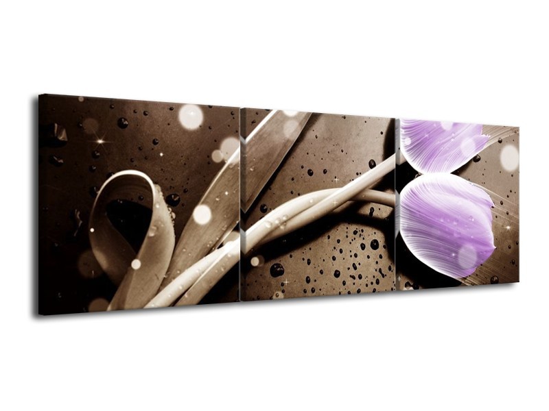 Canvas schilderij Tulp | Paars, Grijs | 120x40cm 3Luik