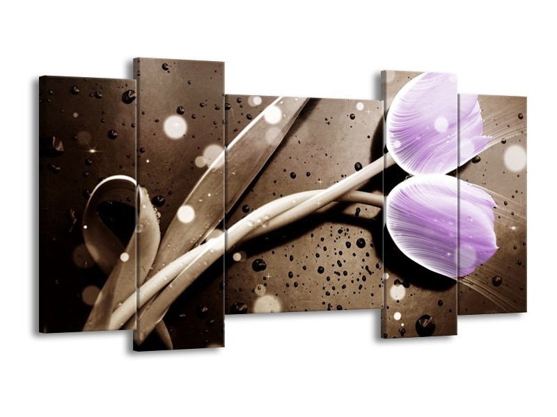 Canvas schilderij Tulp | Paars, Grijs | 120x65 5Luik