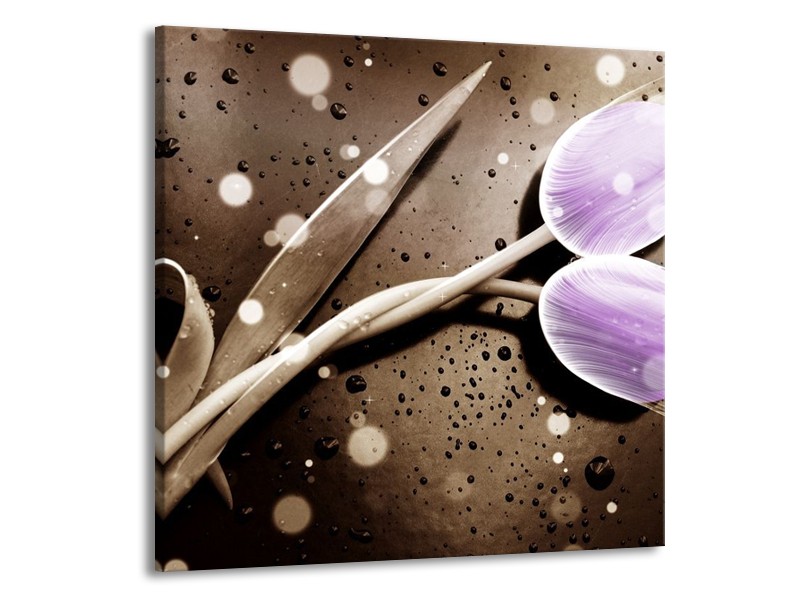 Canvas schilderij Tulp | Paars, Grijs | 50x50cm 1Luik