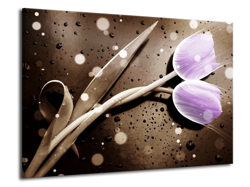 Canvas schilderij Tulp | Paars, Grijs | 70x50cm 1Luik