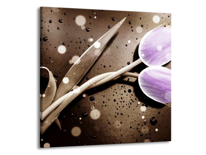 Canvas schilderij Tulp | Paars, Grijs | 70x70cm 1Luik