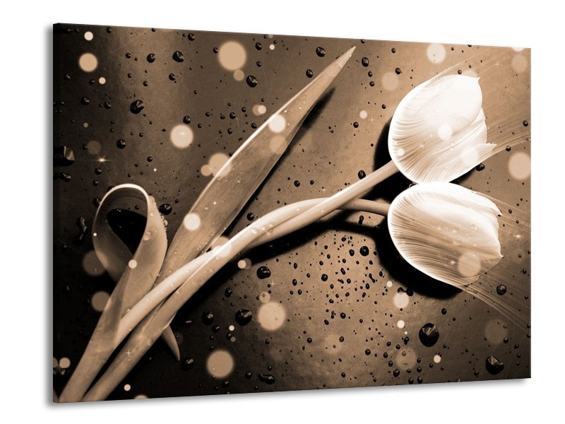 Canvas schilderij Tulp | Grijs, Wit | 100x70cm 1Luik