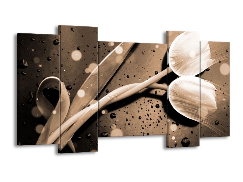 Canvas schilderij Tulp | Grijs, Wit | 120x65 5Luik