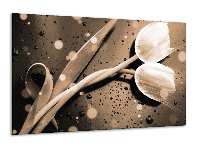 Canvas schilderij Tulp | Grijs, Wit | 120x70cm 1Luik