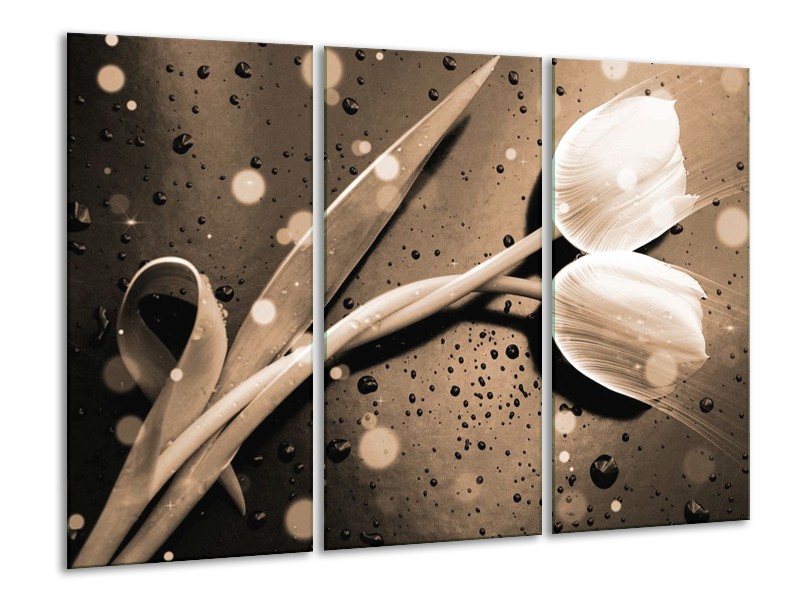 Canvas schilderij Tulp | Grijs, Wit | 120x80cm 3Luik