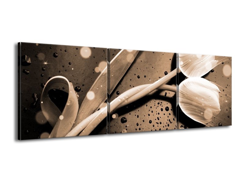 Canvas schilderij Tulp | Grijs, Wit | 150x50cm 3Luik