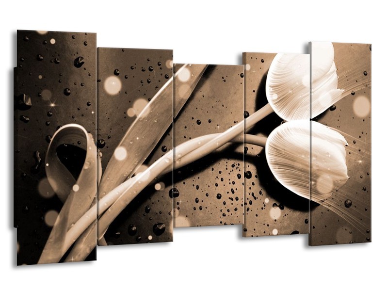 Canvas schilderij Tulp | Grijs, Wit | 150x80cm 5Luik