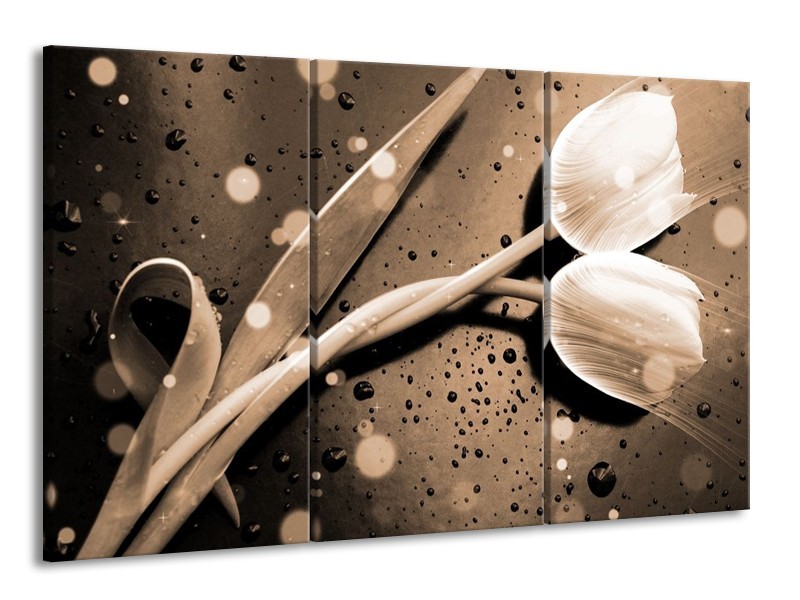 Glas schilderij Tulp | Grijs, Wit | 165x100cm 3Luik
