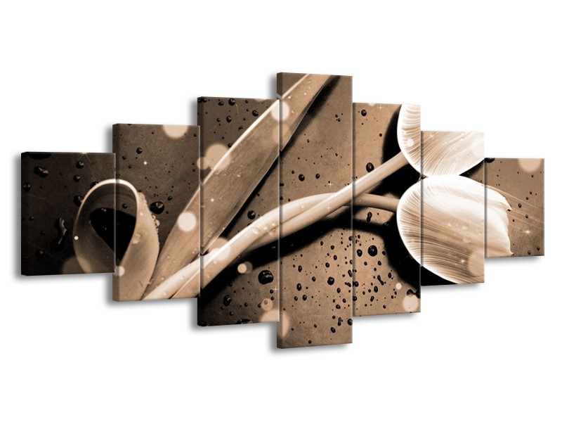 Glas schilderij Tulp | Grijs, Wit | 210x100cm 7Luik