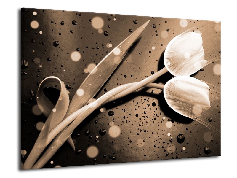 Glas schilderij Tulp | Grijs, Wit | 70x50cm 1Luik