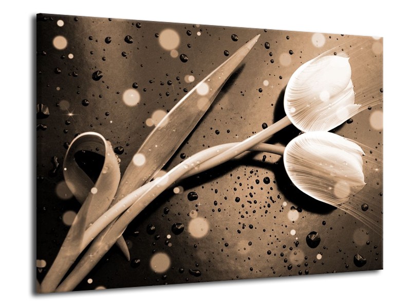 Canvas schilderij Tulp | Grijs, Wit | 70x50cm 1Luik