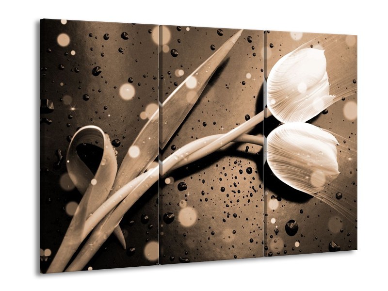 Canvas schilderij Tulp | Grijs, Wit | 90x60cm 3Luik