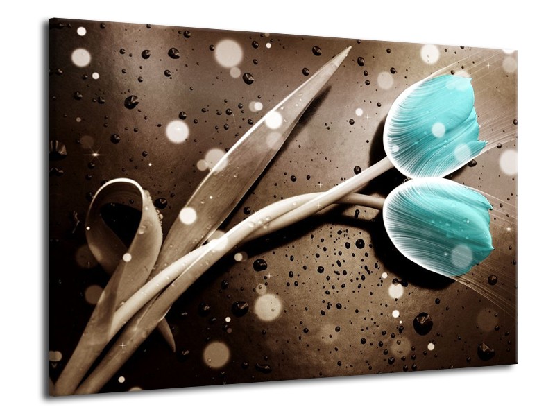 Canvas schilderij Tulp | Blauw, Grijs | 70x50cm 1Luik