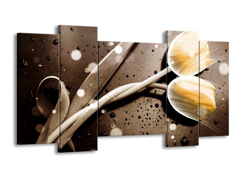 Canvas schilderij Tulp | Geel, Grijs | 120x65 5Luik