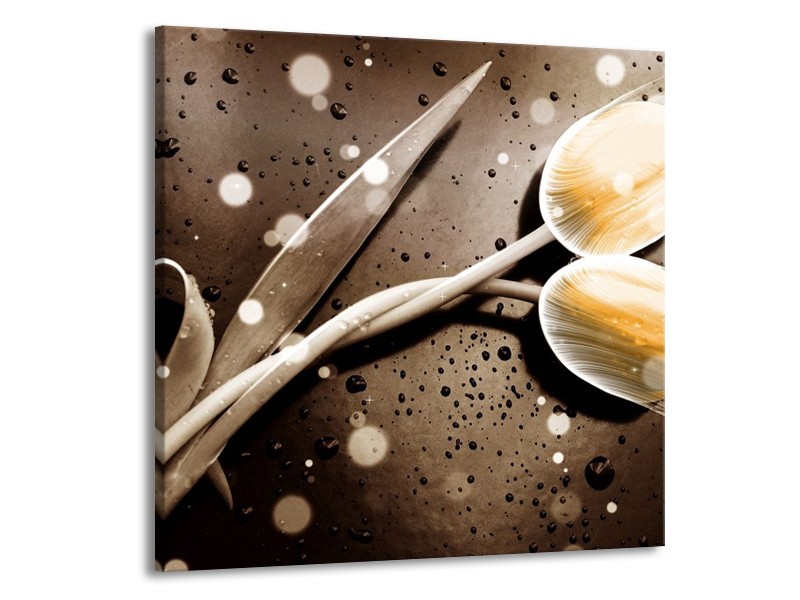 Canvas schilderij Tulp | Geel, Grijs | 50x50cm 1Luik