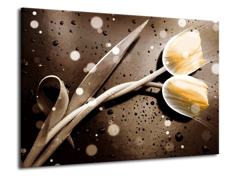 Canvas schilderij Tulp | Geel, Grijs | 70x50cm 1Luik