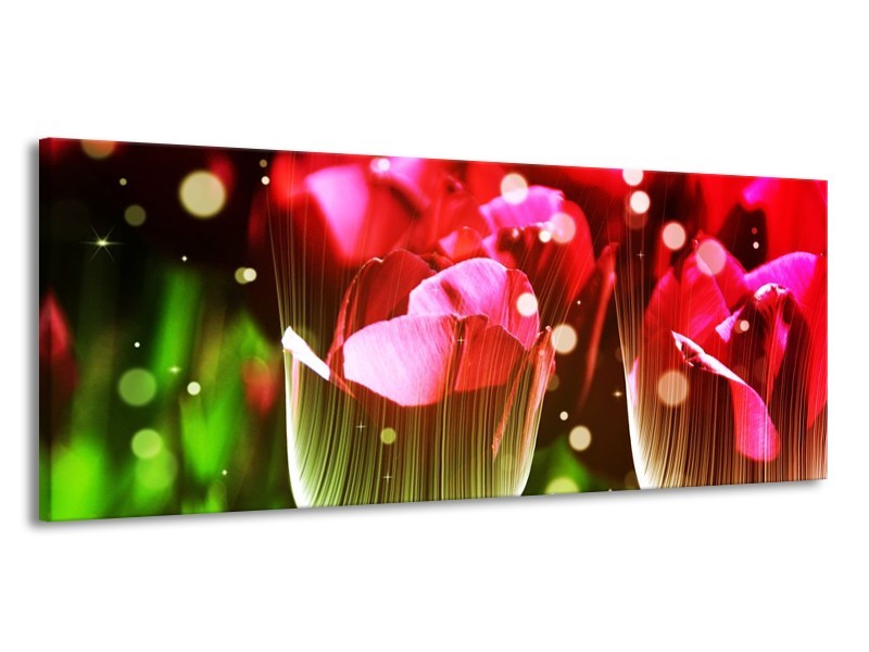 Canvas schilderij Tulp | Rood, Groen, Zwart | 145x58cm 1Luik