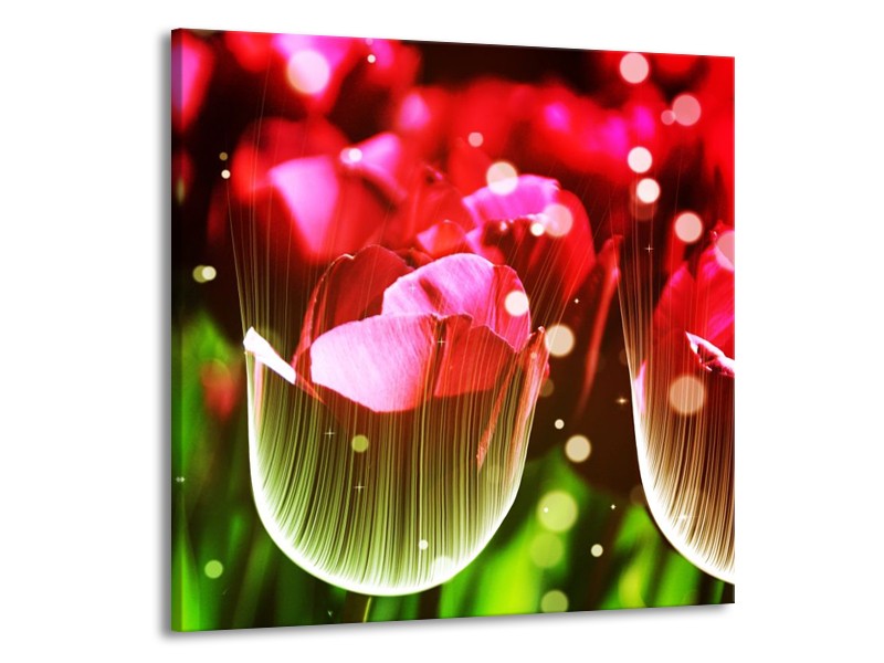 Glas schilderij Tulp | Rood, Groen, Zwart | 50x50cm 1Luik