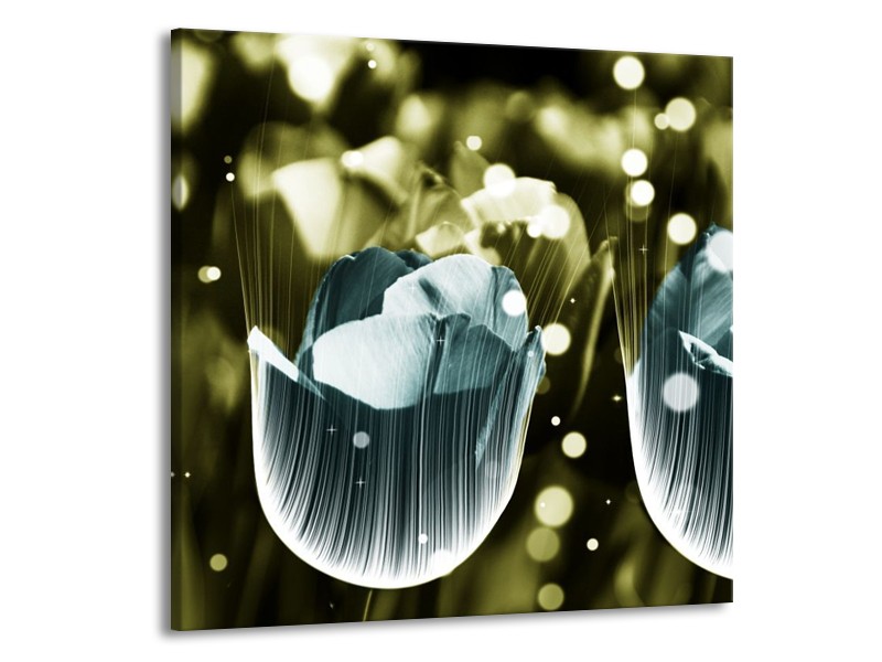 Canvas schilderij Tulp | Blauw, Grijs | 70x70cm 1Luik