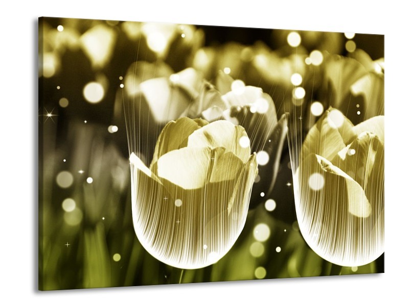 Canvas schilderij Tulp | Geel, Zwart | 100x70cm 1Luik