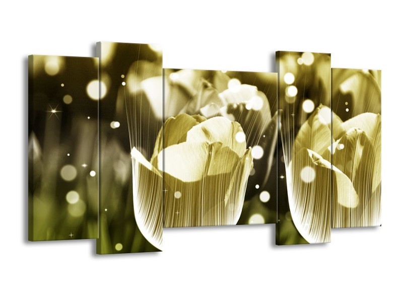Canvas schilderij Tulp | Geel, Zwart | 120x65 5Luik