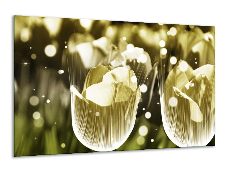 Canvas schilderij Tulp | Geel, Zwart | 120x70cm 1Luik