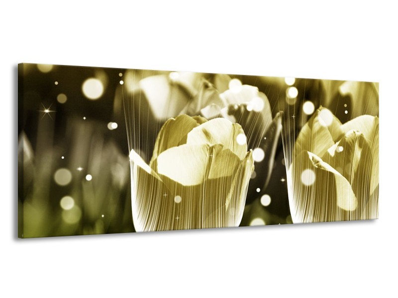 Canvas schilderij Tulp | Geel, Zwart | 145x58cm 1Luik