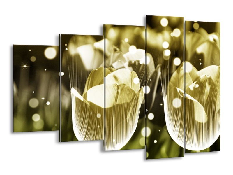 Canvas schilderij Tulp | Geel, Zwart | 150x100cm 5Luik