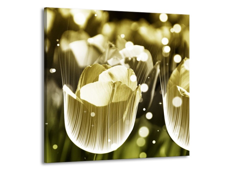 Canvas schilderij Tulp | Geel, Zwart | 50x50cm 1Luik