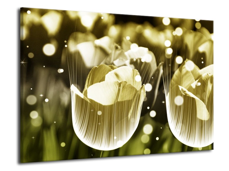 Canvas schilderij Tulp | Geel, Zwart | 70x50cm 1Luik