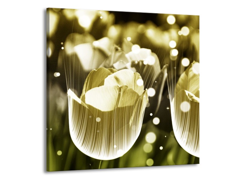 Canvas schilderij Tulp | Geel, Zwart | 70x70cm 1Luik