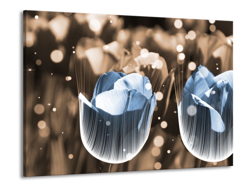 Canvas schilderij Tulp | Blauw, Grijs | 100x70cm 1Luik