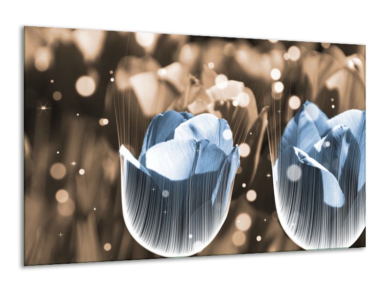 Canvas schilderij Tulp | Blauw, Grijs | 120x70cm 1Luik