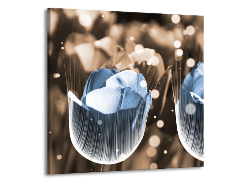Canvas schilderij Tulp | Blauw, Grijs | 50x50cm 1Luik