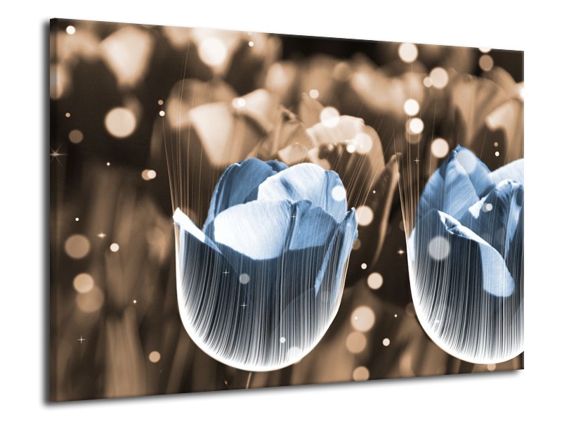 Canvas schilderij Tulp | Blauw, Grijs | 70x50cm 1Luik
