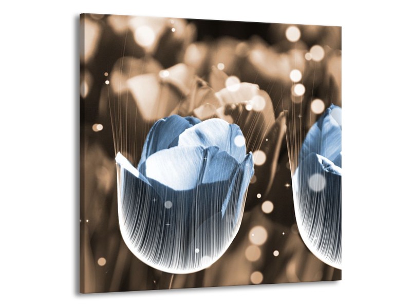 Canvas schilderij Tulp | Blauw, Grijs | 70x70cm 1Luik