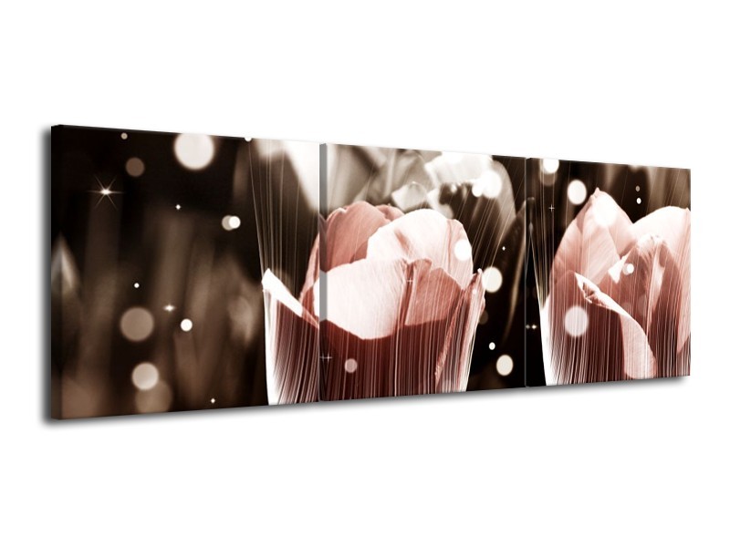 Canvas schilderij Tulp | Bruin, Grijs | 120x40cm 3Luik