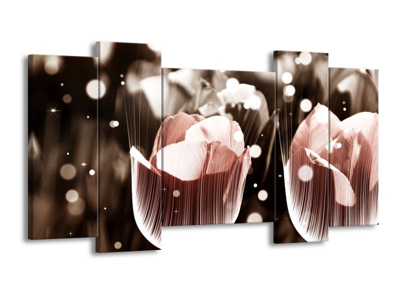 Canvas schilderij Tulp | Bruin, Grijs | 120x65 5Luik